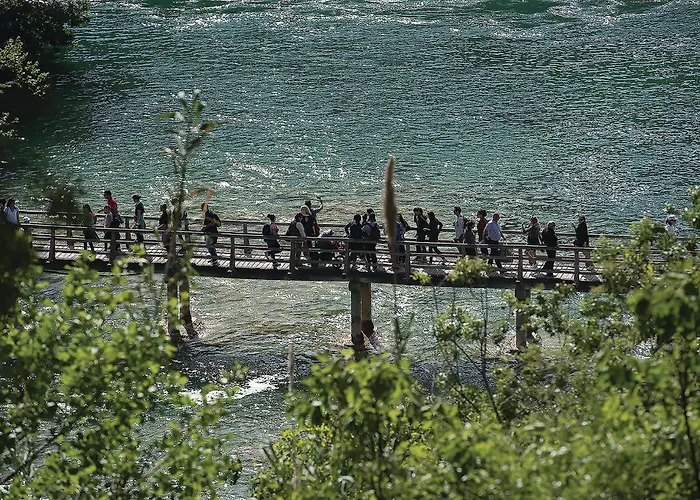 2 Bedroom In * ברודאריצה